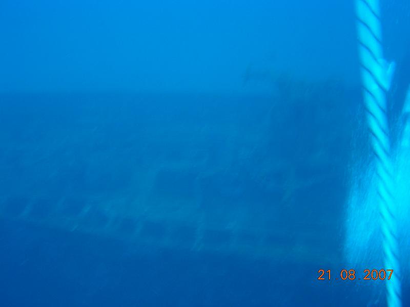 DSCN5982
